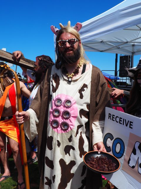 A person in a cow-themed costume with udders and horns stands outdoors, holding a bowl of food, under a tent at an event.