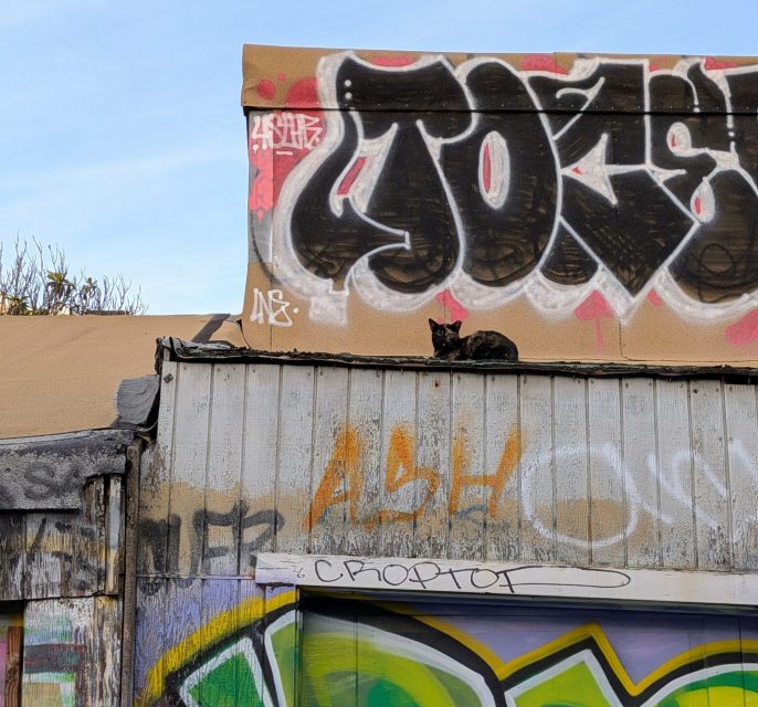 A black cat sits on the roof of a weathered building covered in colorful graffiti and tags, under a partly cloudy sky.